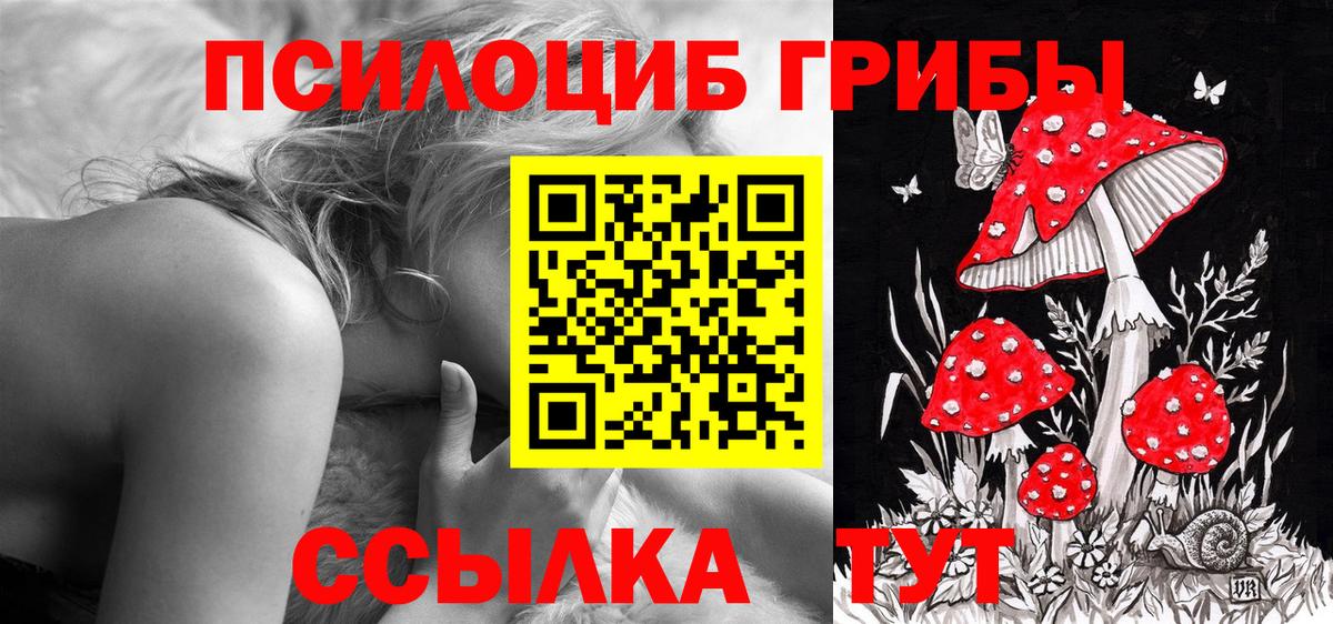 Галлюциногенные грибы мухоморы Елец