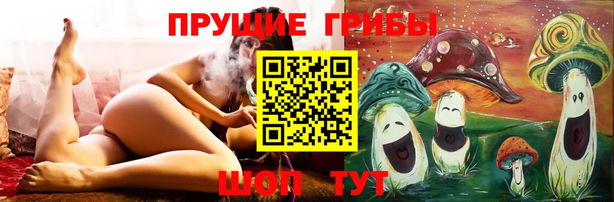 Псилоцибиновые грибы прущие грибы  Псилоцибиновые грибы мухоморы  Вход с VPN  Елец 